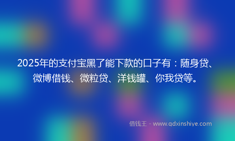 2025年的支付宝黑了能下款的口子有：随身贷、微博借钱、微粒贷、洋钱罐、你我贷等。