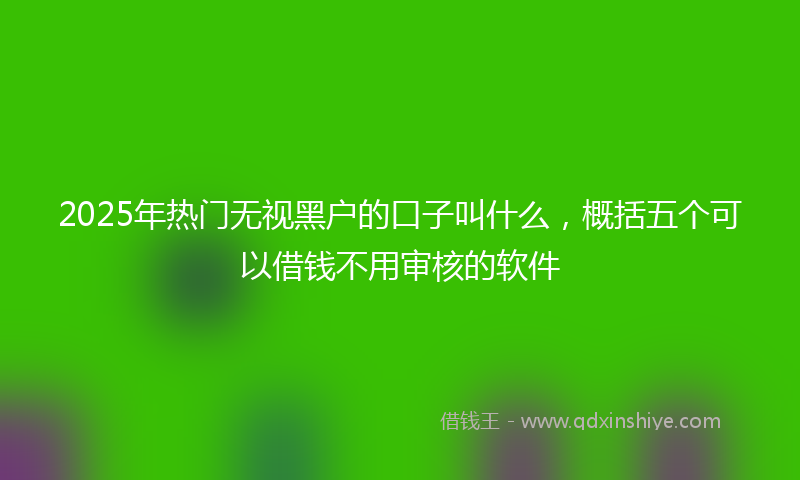 2025年热门无视黑户的口子叫什么，概括五个可以借钱不用审核的软件