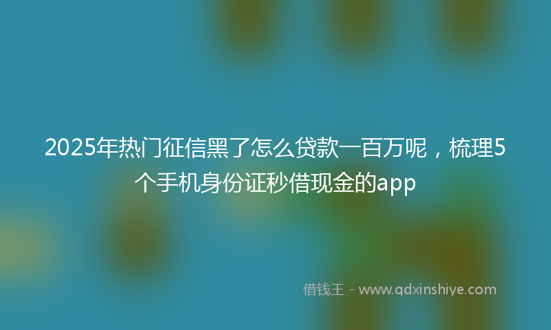 2025年热门征信黑了怎么贷款一百万呢，梳理5个手机身份证秒借现金的app