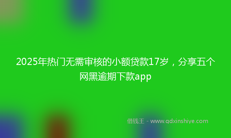 2025年热门无需审核的小额贷款17岁，分享五个网黑逾期下款app