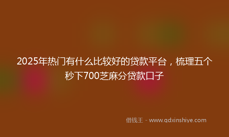 2025年热门有什么比较好的贷款平台，梳理五个秒下700芝麻分贷款口子