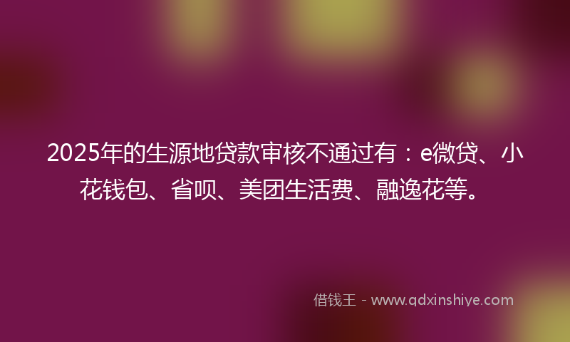2025年的生源地贷款审核不通过有：e微贷、小花钱包、省呗、美团生活费、融逸花等。