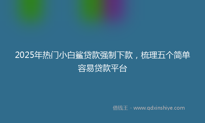 2025年热门小白鲨贷款强制下款，梳理五个简单容易贷款平台