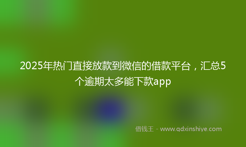 2025年热门直接放款到微信的借款平台，汇总5个逾期太多能下款app