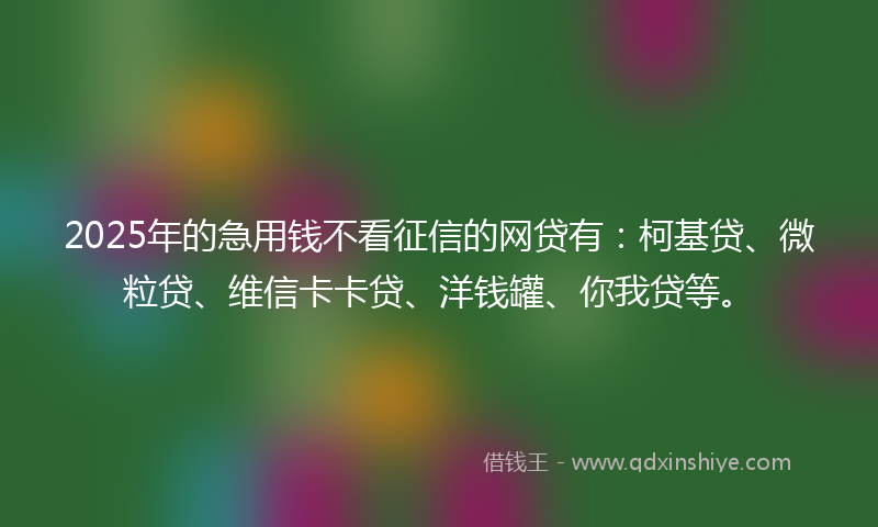 2025年的急用钱不看征信的网贷有：柯基贷、微粒贷、维信卡卡贷、洋钱罐、你我贷等。