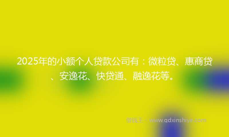 2025年的小额个人贷款公司有：微粒贷、惠商贷、安逸花、快贷通、融逸花等。