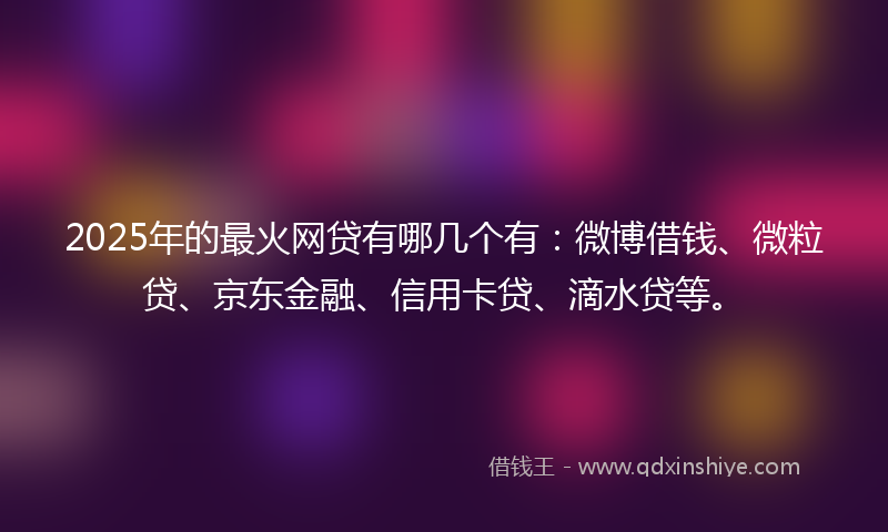 2025年的最火网贷有哪几个有：微博借钱、微粒贷、京东金融、信用卡贷、滴水贷等。