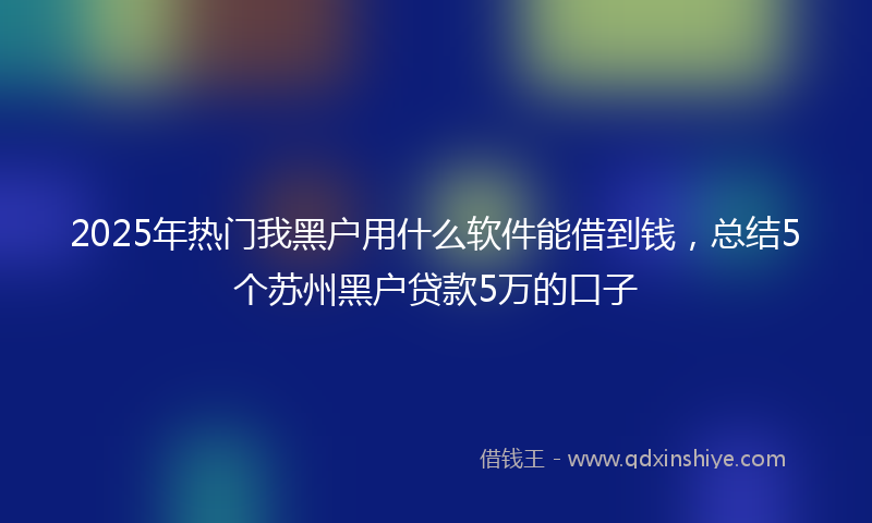 2025年热门我黑户用什么软件能借到钱，总结5个苏州黑户贷款5万的口子