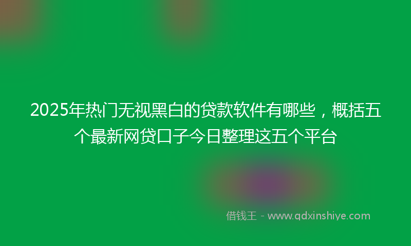 2025年热门无视黑白的贷款软件有哪些，概括五个最新网贷口子今日整理这五个平台
