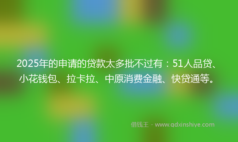 2025年的申请的贷款太多批不过有：51人品贷、小花钱包、拉卡拉、中原消费金融、快贷通等。
