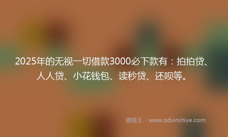 2025年的无视一切借款3000必下款有：拍拍贷、人人贷、小花钱包、读秒贷、还呗等。