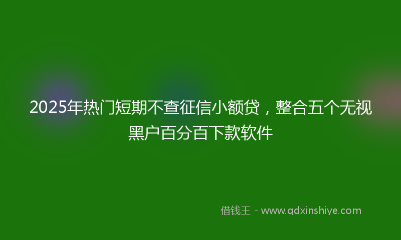2025年热门短期不查征信小额贷，整合五个无视黑户百分百下款软件