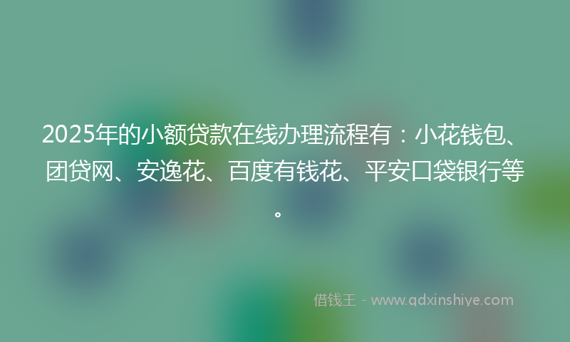 2025年的小额贷款在线办理流程有：小花钱包、团贷网、安逸花、百度有钱花、平安口袋银行等。