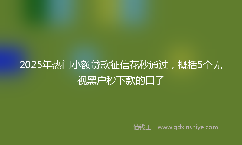 2025年热门小额贷款征信花秒通过，概括5个无视黑户秒下款的口子