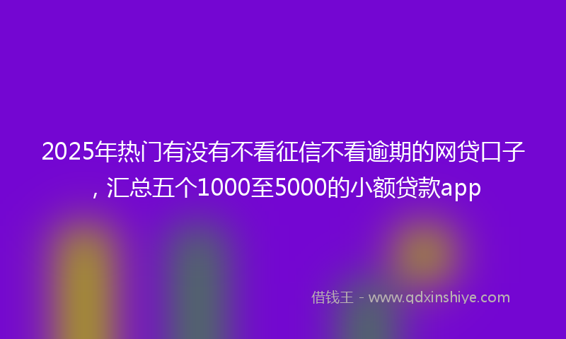 2025年热门有没有不看征信不看逾期的网贷口子，汇总五个1000至5000的小额贷款app