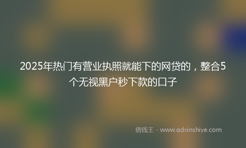 2025年热门有营业执照就能下的网贷的，整合5个无视黑户秒下款的口子