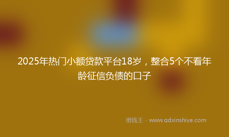 2025年热门小额贷款平台18岁，整合5个不看年龄征信负债的口子