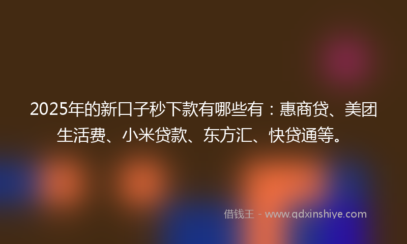 2025年的新口子秒下款有哪些有：惠商贷、美团生活费、小米贷款、东方汇、快贷通等。