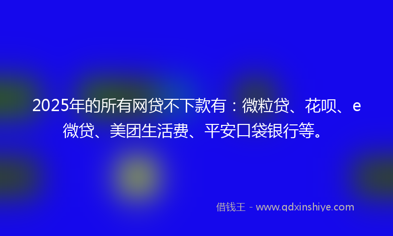 2025年的所有网贷不下款有：微粒贷、花呗、e微贷、美团生活费、平安口袋银行等。