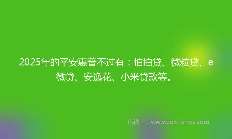 2025年的平安惠普不过有：拍拍贷、微粒贷、e微贷、安逸花、小米贷款等。