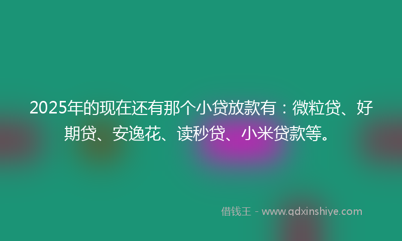 2025年的现在还有那个小贷放款有：微粒贷、好期贷、安逸花、读秒贷、小米贷款等。