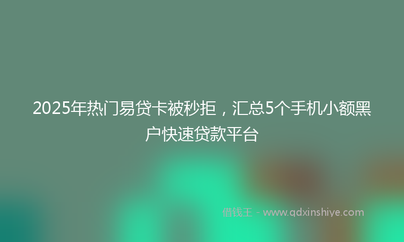 2025年热门易贷卡被秒拒，汇总5个手机小额黑户快速贷款平台