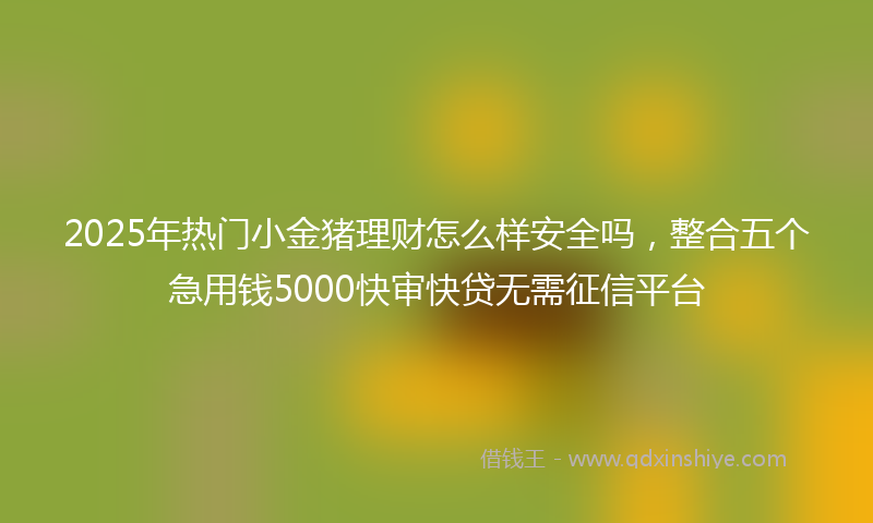 2025年热门小金猪理财怎么样安全吗，整合五个急用钱5000快审快贷无需征信平台