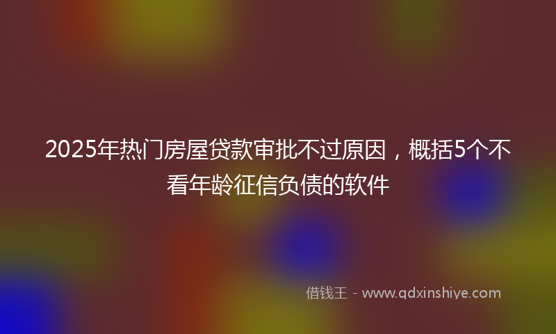 2025年热门房屋贷款审批不过原因，概括5个不看年龄征信负债的软件