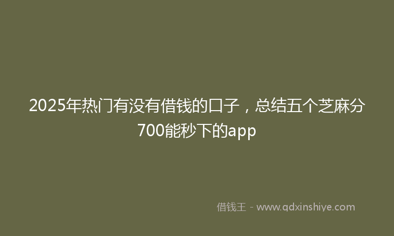 2025年热门有没有借钱的口子，总结五个芝麻分700能秒下的app