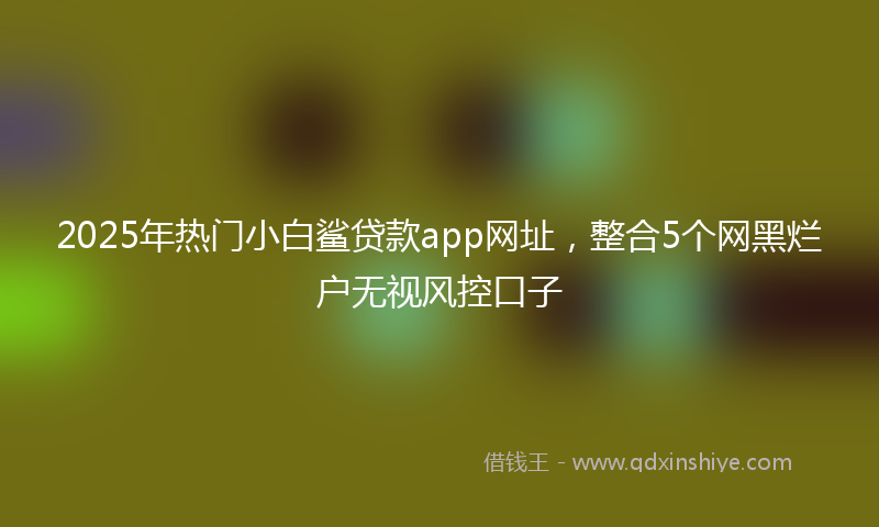 2025年热门小白鲨贷款app网址，整合5个网黑烂户无视风控口子