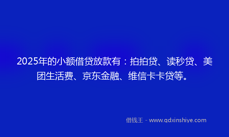 2025年的小额借贷放款有：拍拍贷、读秒贷、美团生活费、京东金融、维信卡卡贷等。
