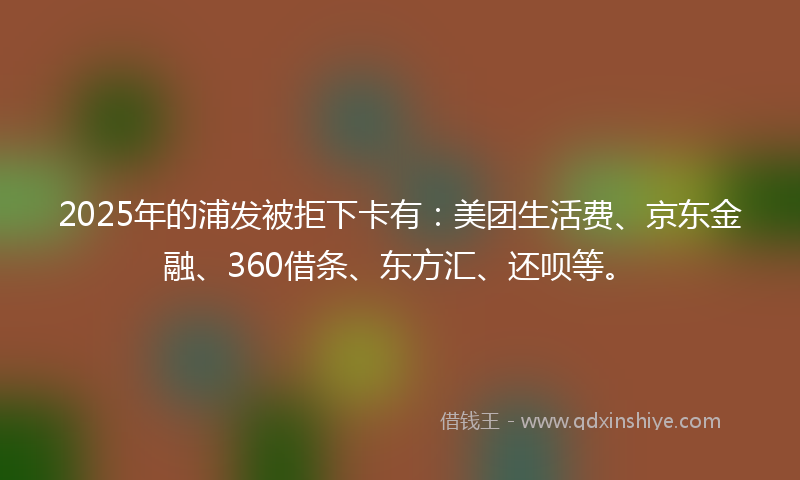 2025年的浦发被拒下卡有：美团生活费、京东金融、360借条、东方汇、还呗等。
