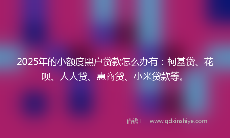 2025年的小额度黑户贷款怎么办有：柯基贷、花呗、人人贷、惠商贷、小米贷款等。