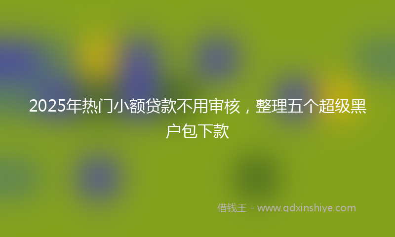 2025年热门小额贷款不用审核，整理五个超级黑户包下款