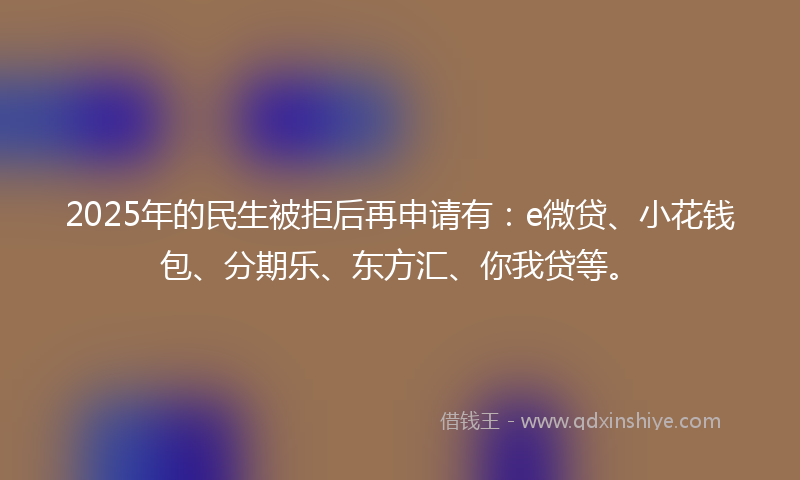 2025年的民生被拒后再申请有：e微贷、小花钱包、分期乐、东方汇、你我贷等。