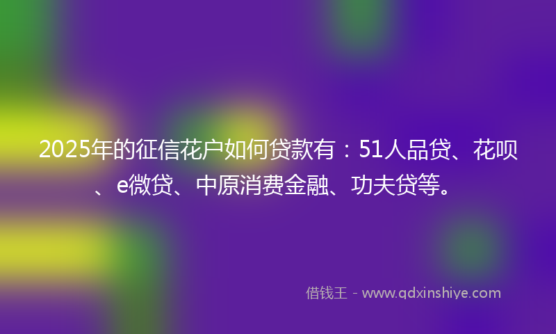 2025年的征信花户如何贷款有：51人品贷、花呗、e微贷、中原消费金融、功夫贷等。