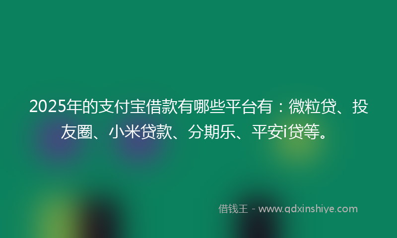 2025年的支付宝借款有哪些平台有：微粒贷、投友圈、小米贷款、分期乐、平安i贷等。