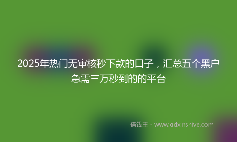 2025年热门无审核秒下款的口子，汇总五个黑户急需三万秒到的的平台