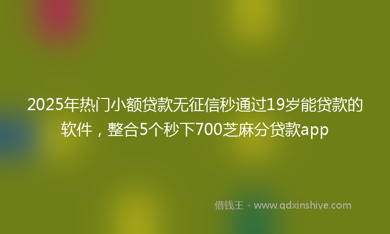 2025年热门小额贷款无征信秒通过19岁能贷款的软件，整合5个秒下700芝麻分贷款app