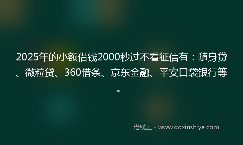 2025年的小额借钱2000秒过不看征信有：随身贷、微粒贷、360借条、京东金融、平安口袋银行等。