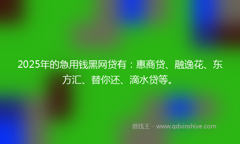 2025年的急用钱黑网贷有：惠商贷、融逸花、东方汇、替你还、滴水贷等。