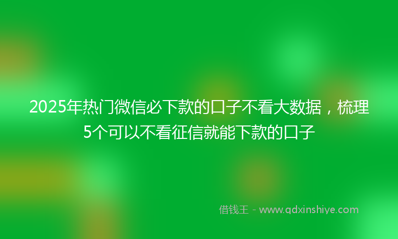 2025年热门微信必下款的口子不看大数据，梳理5个可以不看征信就能下款的口子