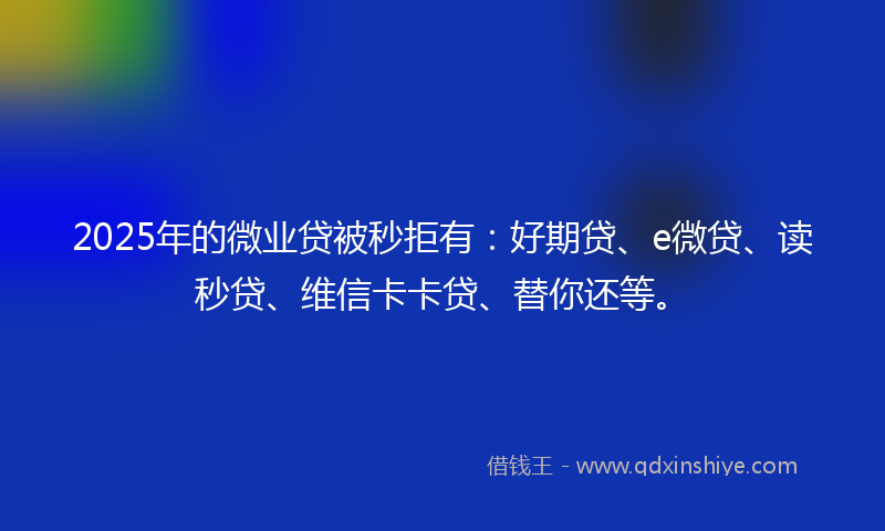 2025年的微业贷被秒拒有：好期贷、e微贷、读秒贷、维信卡卡贷、替你还等。
