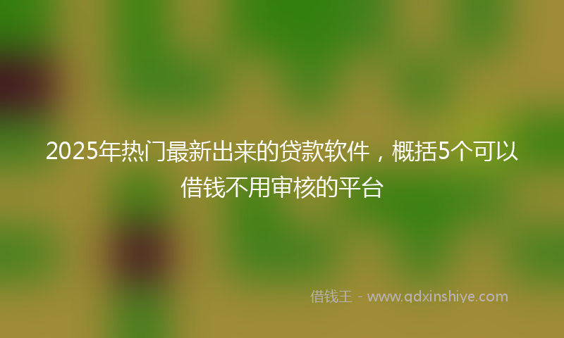 2025年热门最新出来的贷款软件，概括5个可以借钱不用审核的平台