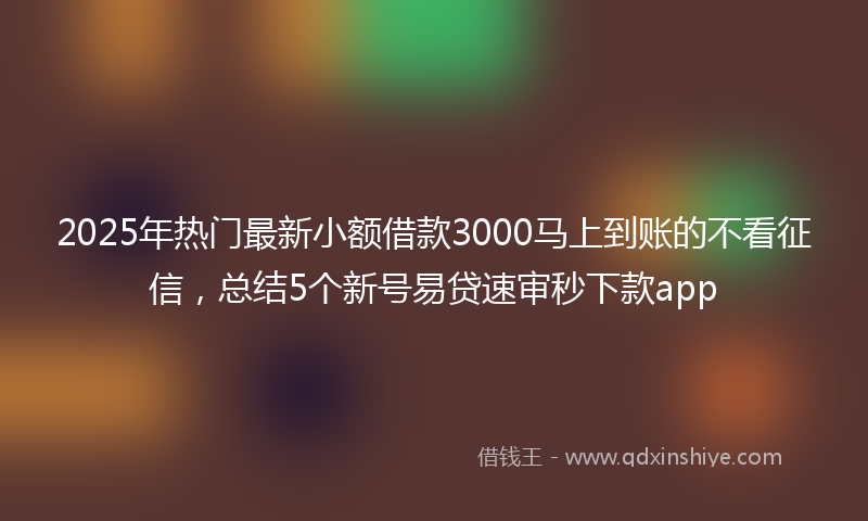 2025年热门最新小额借款3000马上到账的不看征信，总结5个新号易贷速审秒下款app