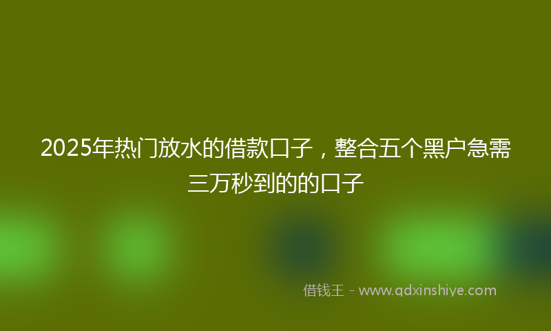 2025年热门放水的借款口子，整合五个黑户急需三万秒到的的口子