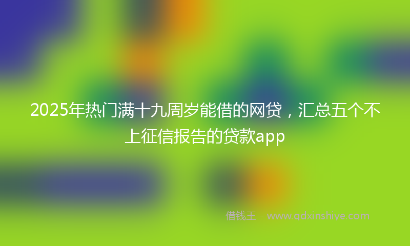 2025年热门满十九周岁能借的网贷，汇总五个不上征信报告的贷款app