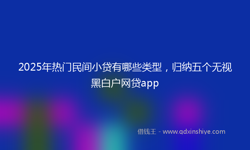 2025年热门民间小贷有哪些类型，归纳五个无视黑白户网贷app