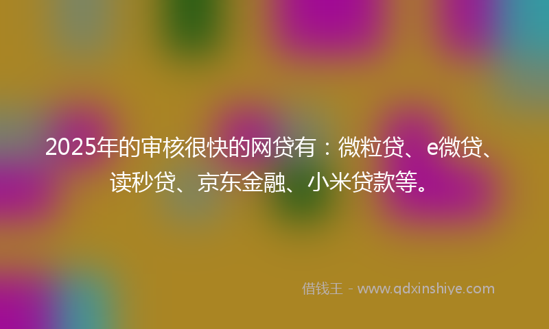 2025年的审核很快的网贷有：微粒贷、e微贷、读秒贷、京东金融、小米贷款等。