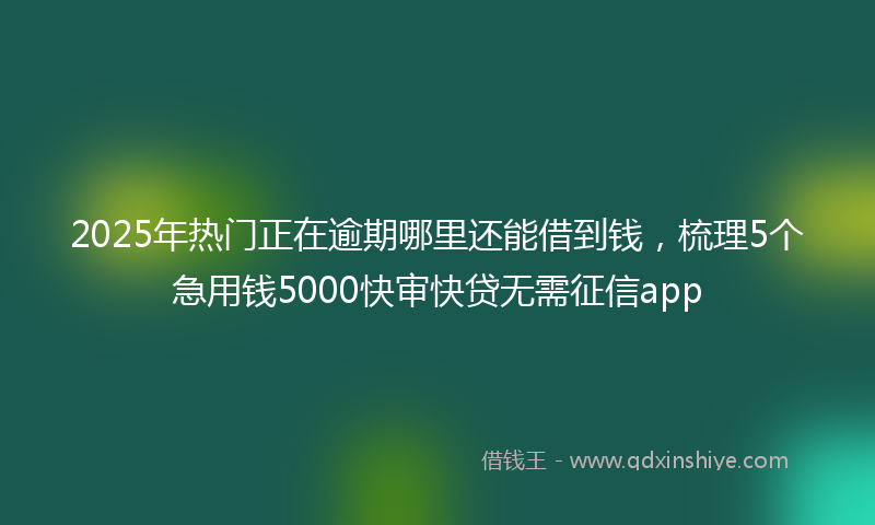 2025年热门正在逾期哪里还能借到钱，梳理5个急用钱5000快审快贷无需征信app